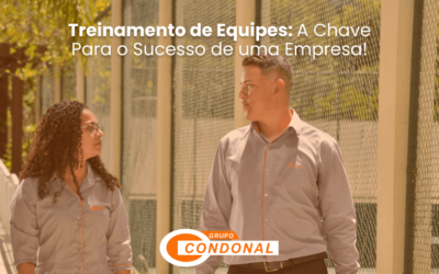 Treinamento de Equipes: A Chave Para o Sucesso de uma Empresa!